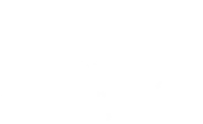 Evosoft